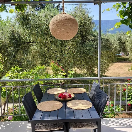 In Thasos Mit Grosser Terrasse Holiday home *